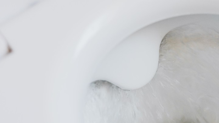 pastillas para WC en casa