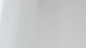 plantas para atraer el dinero