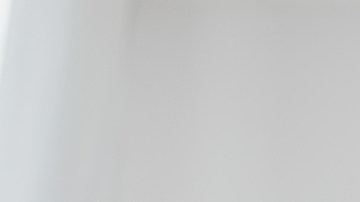 plantas para atraer el dinero