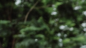 colores para usar si sudas mucho