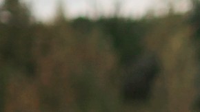 Enamorarse por segunda vez