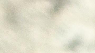 limpiar tu parrillera papa