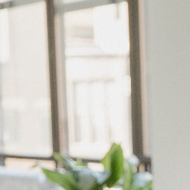 Senos caídos ejercicios