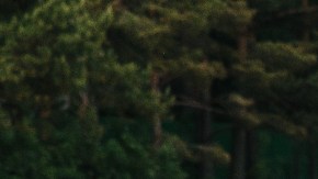 voluntariado ayudar a tu hijo