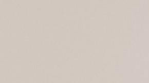 Toxoplasmosis gato embarazo