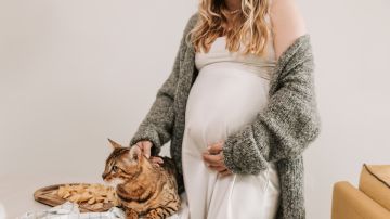 Toxoplasmosis gato embarazo