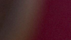 Cómo saber si tu comida del pícnic está dañada.