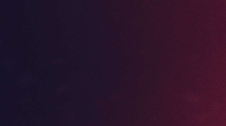 Qué otros motivos atraen a las hormigas, además de la comida.