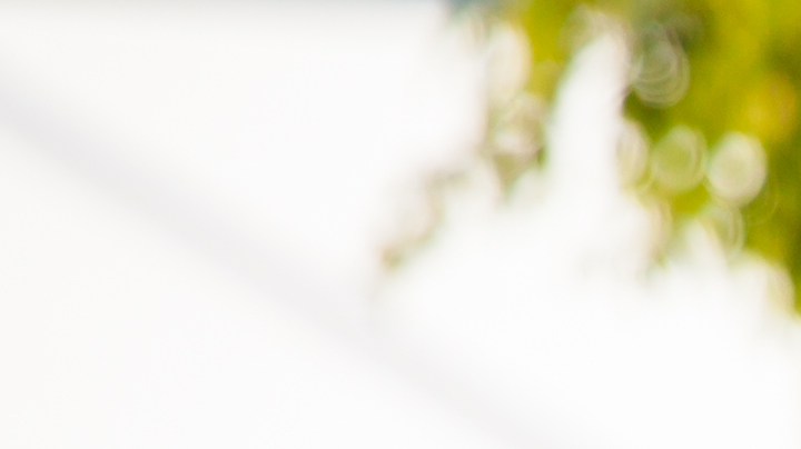 Cuándo nunca deberías saludar de mano a otra persona.