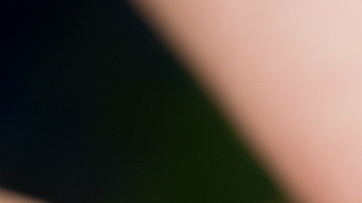 Cuáles son los sustitutos de la mantequilla que puedes utilizar.