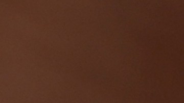 Cómo el café puede mejorar tus erecciones cuando lo bebes a diario.