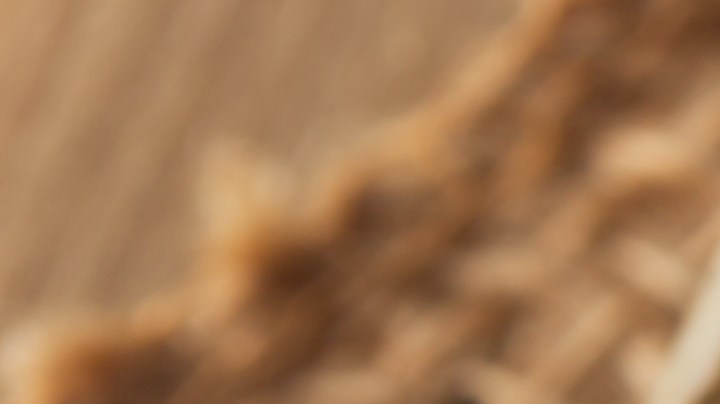 Cuáles son los alimentos que producen gases.