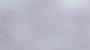 La diferencia en salud entre el azúcar blanca y azúcar morena.