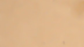 Trucos caseros para aprovechar tus cajas de pizza.