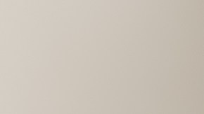 Cuáles son las cosas que pueden lastimar las emociones de tu gato.