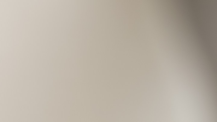 Cuáles son las cosas que pueden lastimar las emociones de tu gato.