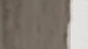 Tips para cuidar tus plantas de interior en una ola de calor.