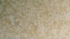 Cada cuánto tiempo es recomendable que laves tus paños de cocina.