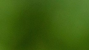 Consejos para practicar ejercicios en medio de una ola de calor.