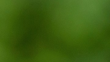 Consejos para practicar ejercicios en medio de una ola de calor.