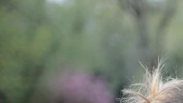 cuidadores también padecemos Alzheimer