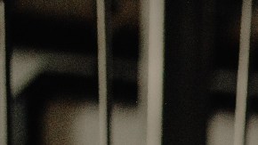 gomitas de jengibre, miel y limón resfriado