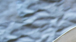 hojas más nutritivas