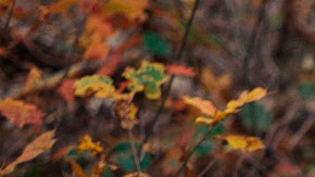 colores de ropa picadura de mosquitos