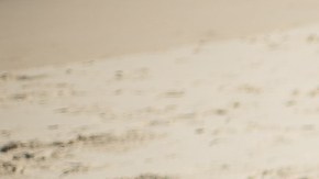 Intoxicación alimentaria playa