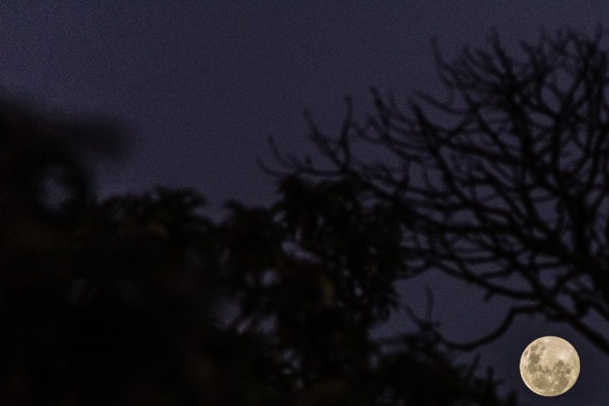 Luna llena manifestar