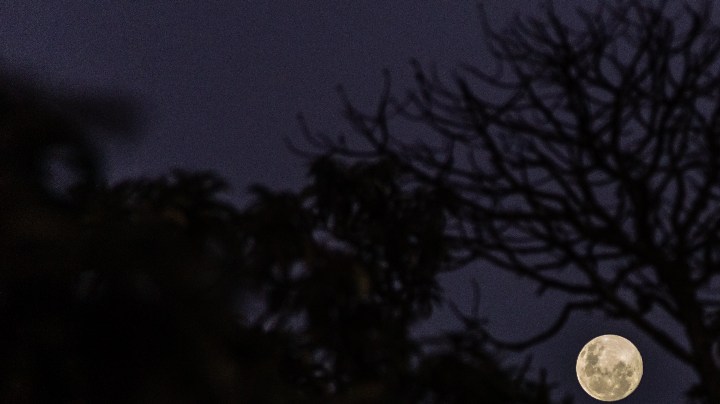 Luna llena manifestar