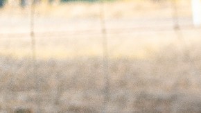 Crianza respetuosa errores