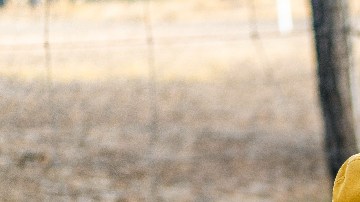 Crianza respetuosa errores