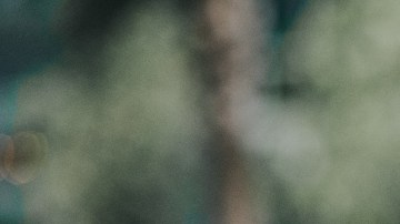 busca a su papá cuando lo regaño