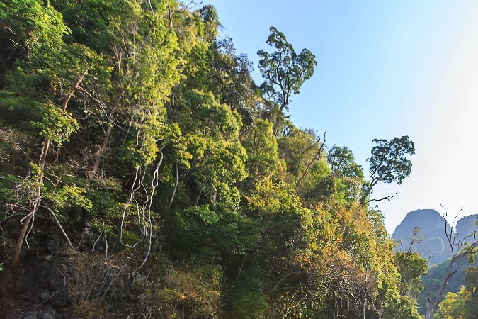 signo zodiacal vacaciones