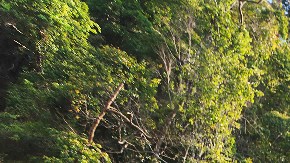 signo zodiacal vacaciones