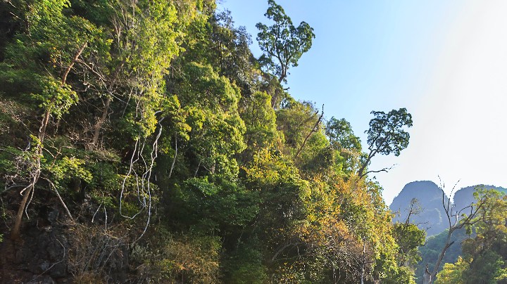 signo zodiacal vacaciones