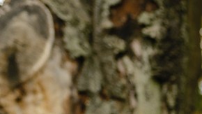 Peleo mucho con mi pareja.