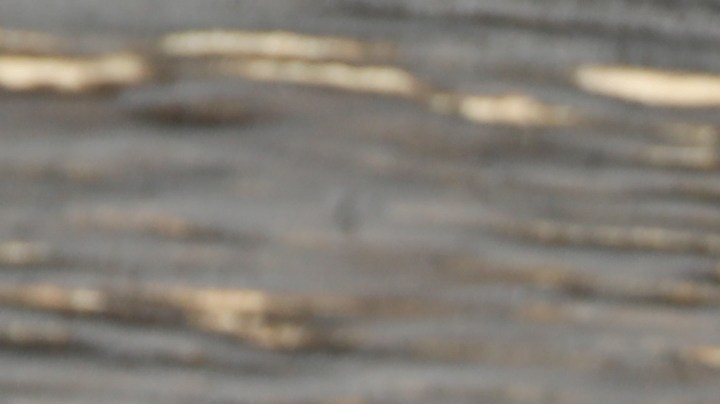 Cómo elaborar salsa picante casera.