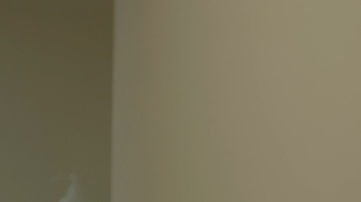 Por qué no deberías suspender el sexo con tu pareja cuando quieres salvar tu relación.