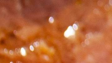 Cuáles son los errores que cometes al guardar tus enlatados en casa.