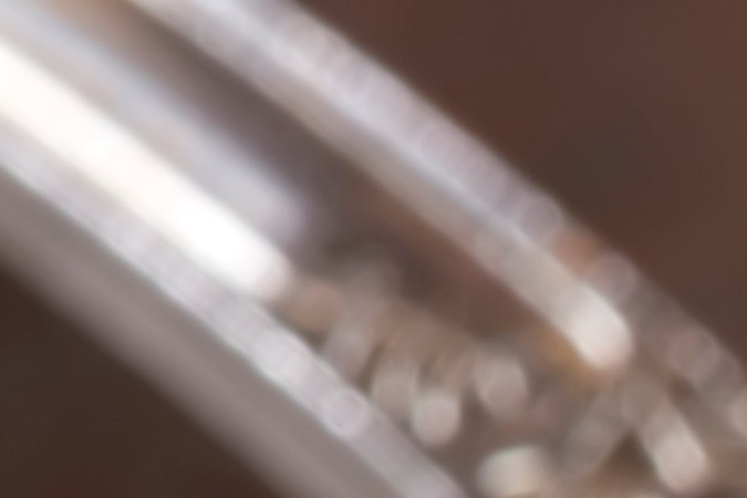 Cómo revitalizar tus plantas con canela en polvo y alejar los insectos.