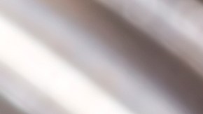 Cómo revitalizar tus plantas con canela en polvo y alejar los insectos.