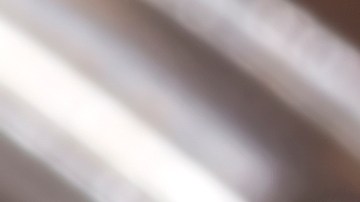 Cómo revitalizar tus plantas con canela en polvo y alejar los insectos.