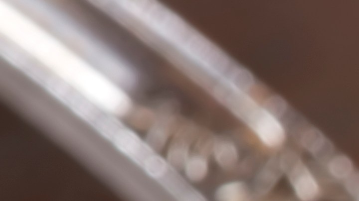 Cómo revitalizar tus plantas con canela en polvo y alejar los insectos.