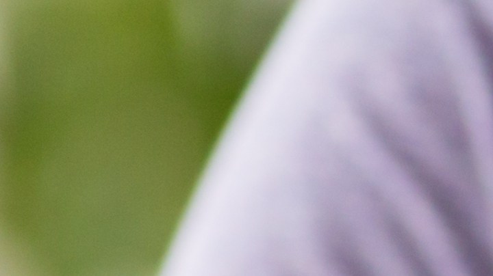 El método correcto y conveniente para darle el biberón a tu bebé.