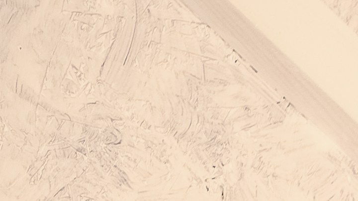 Cómo saber si tu erección es buena y saludable, en cuatro niveles.