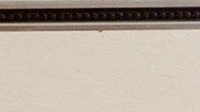 Cuáles son los objetos que jamás debes guardar en un garaje,