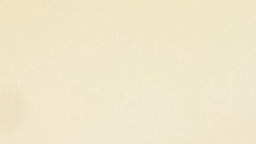 Así debes eliminar los gusanos blancos en tu cocina y cómo evitar que aparezcan.