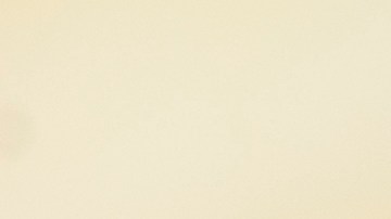 Así debes eliminar los gusanos blancos en tu cocina y cómo evitar que aparezcan.